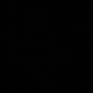 Meet your Posher, Ana